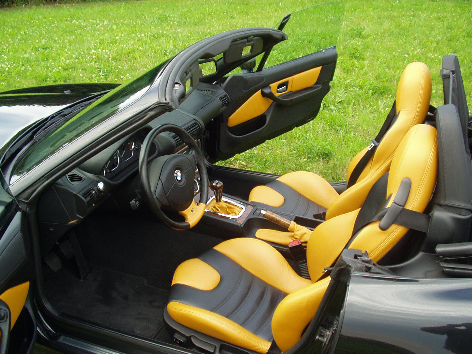 Z3 Individual