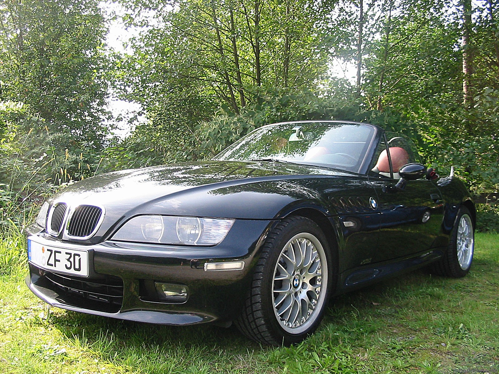 Z3 Treffen in Zell a. H.