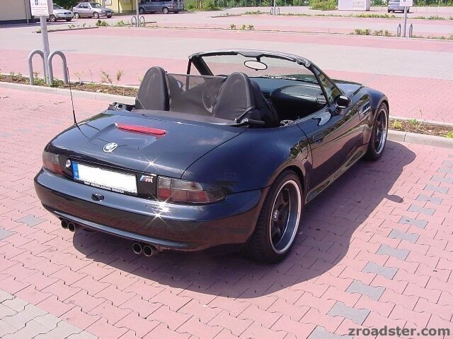 Z31