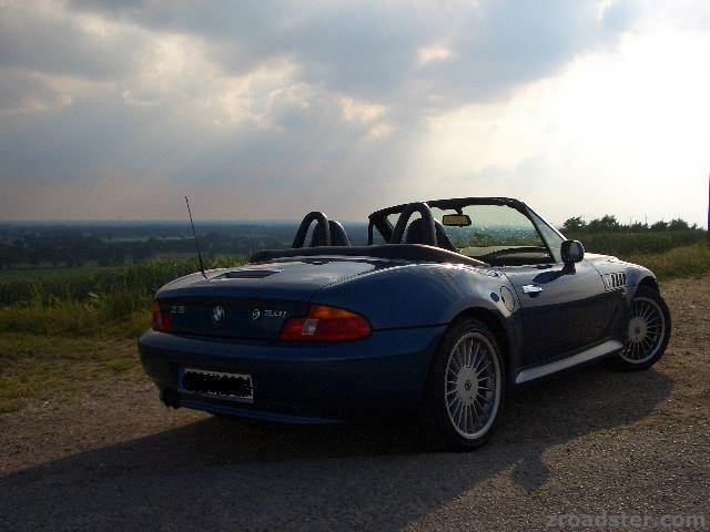 z319