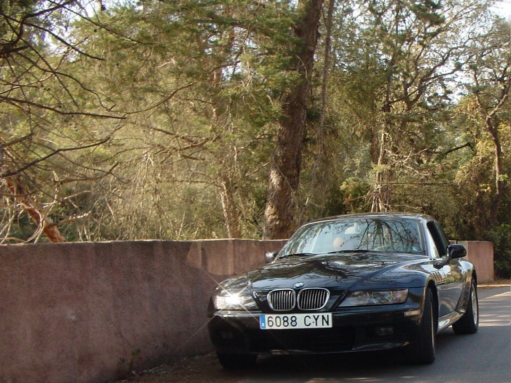 Z3_g079.jpg