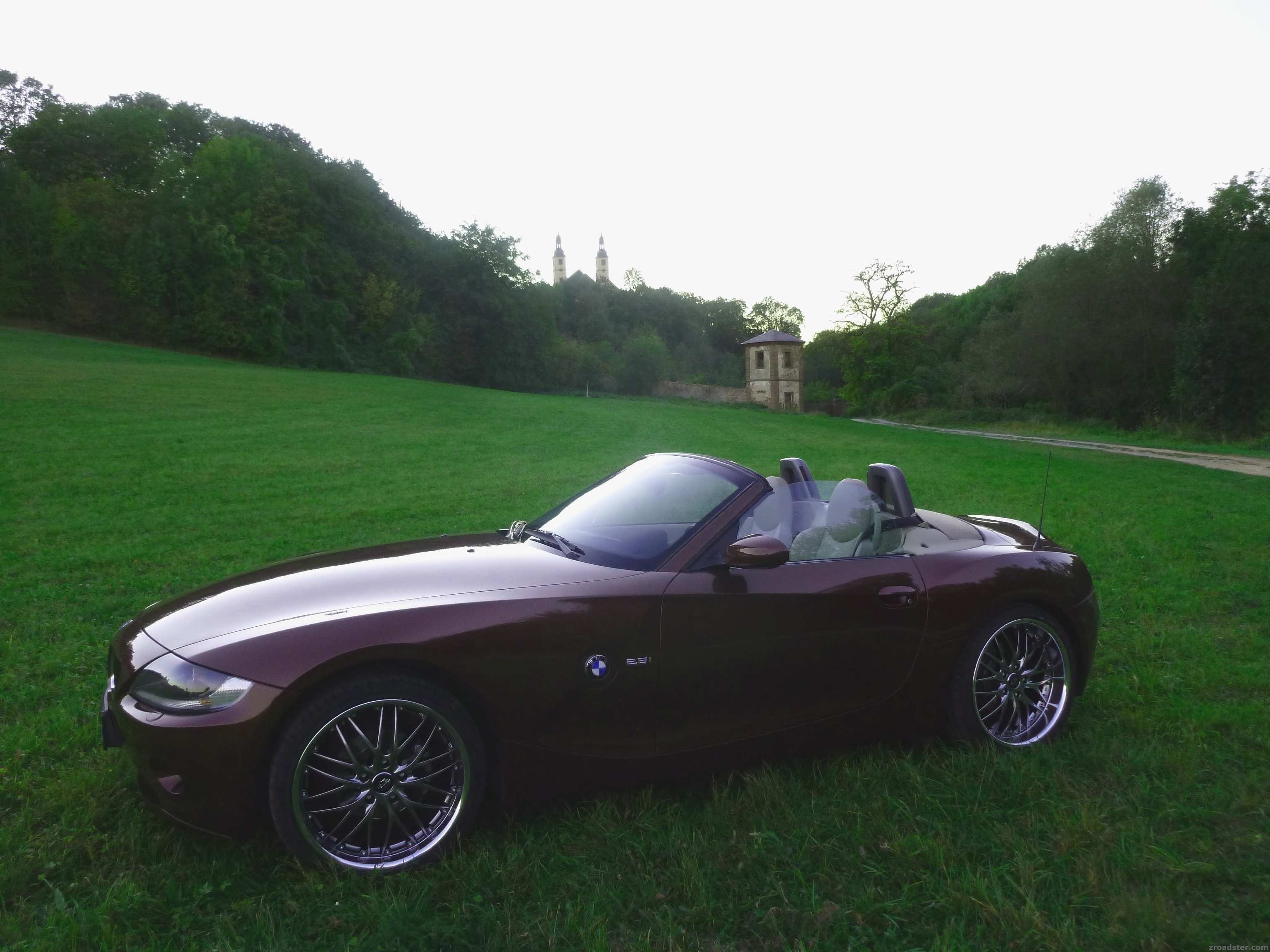 Z4 Merlotrot