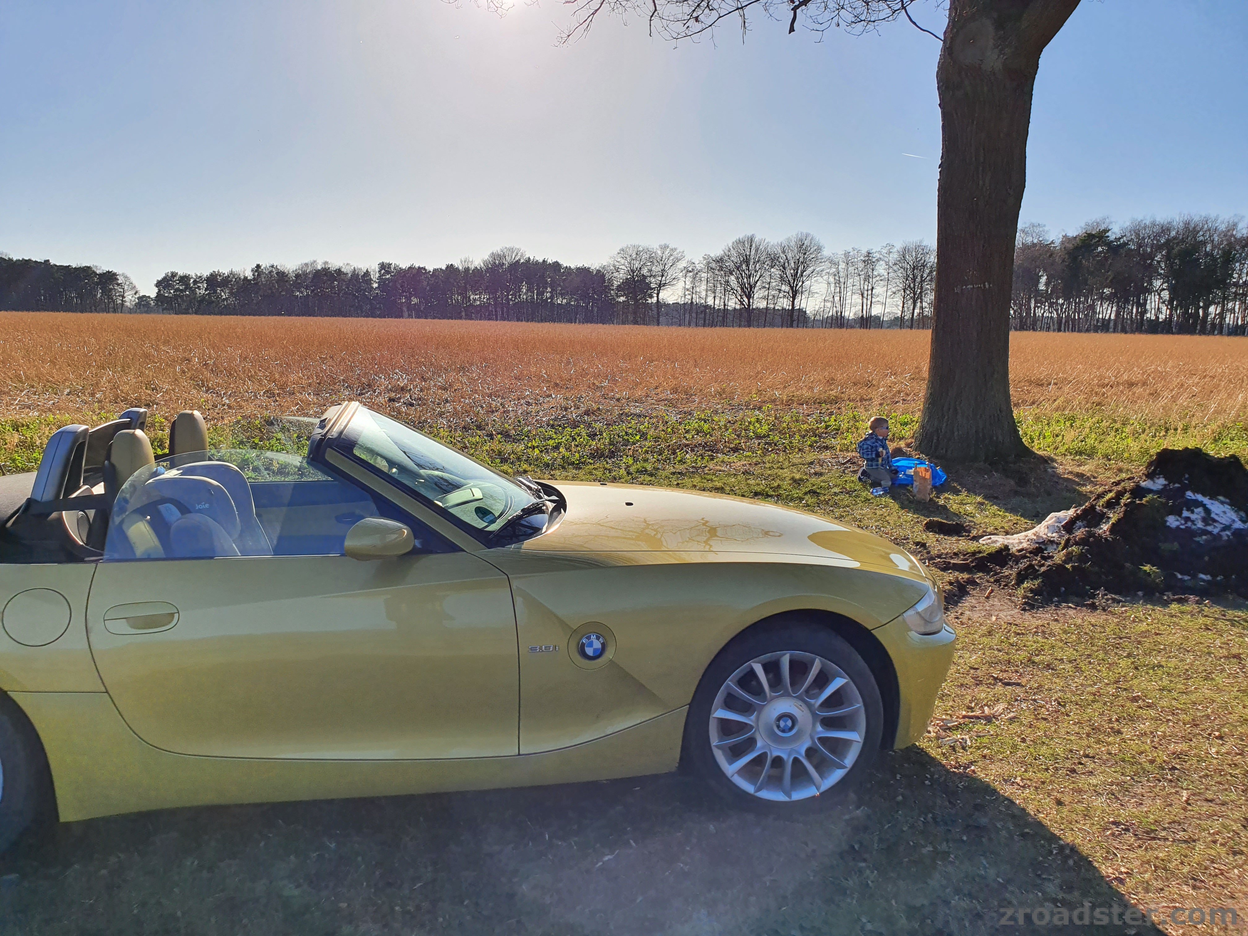 Z4 phoenixgelb - zukünftiger Z4 Fahrer macht Picknick bei den ersten Sonnenstrahlen
