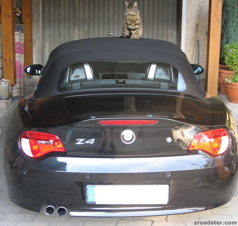 Z4 Rennkatze