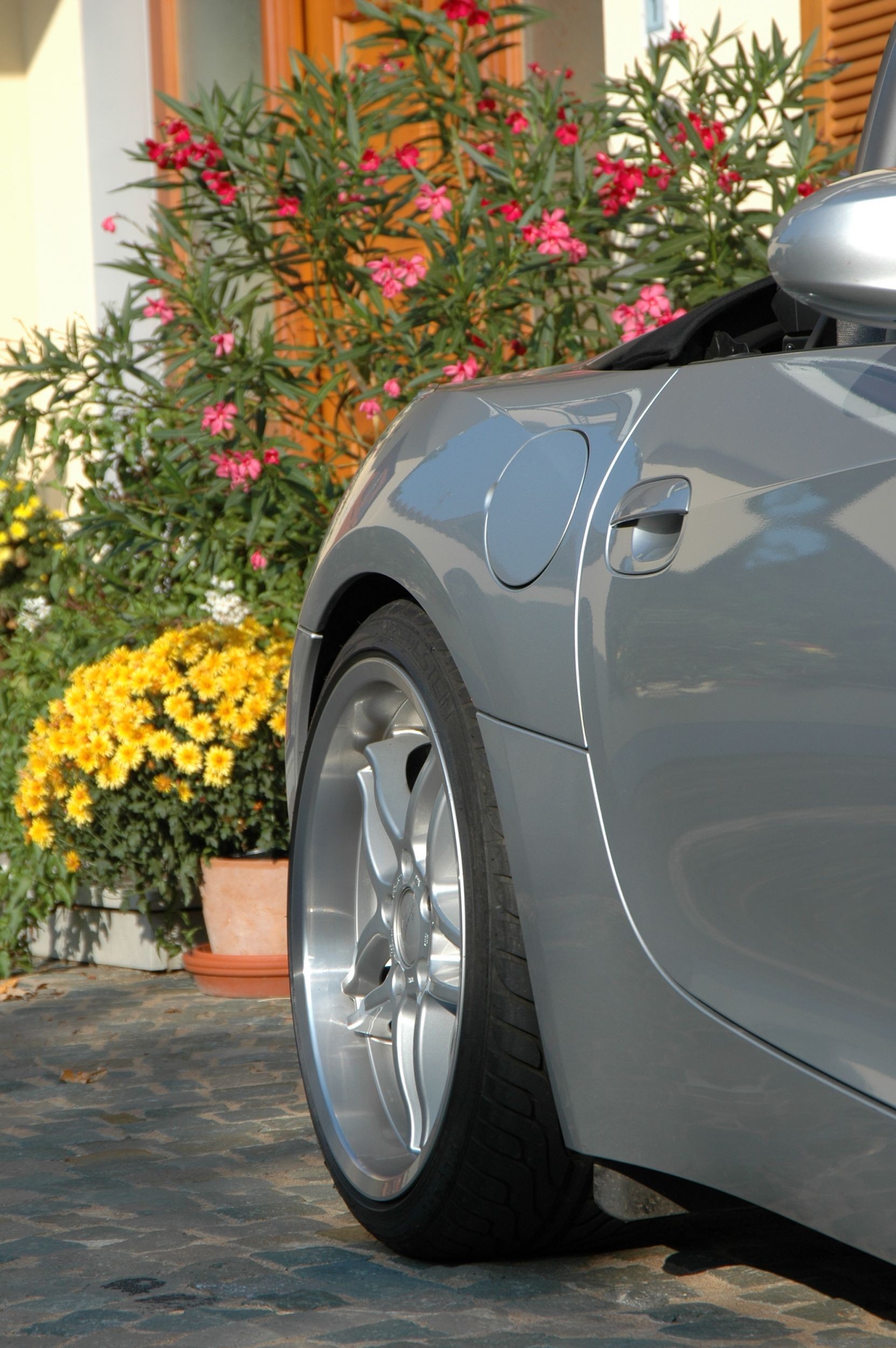 Z4 Shark