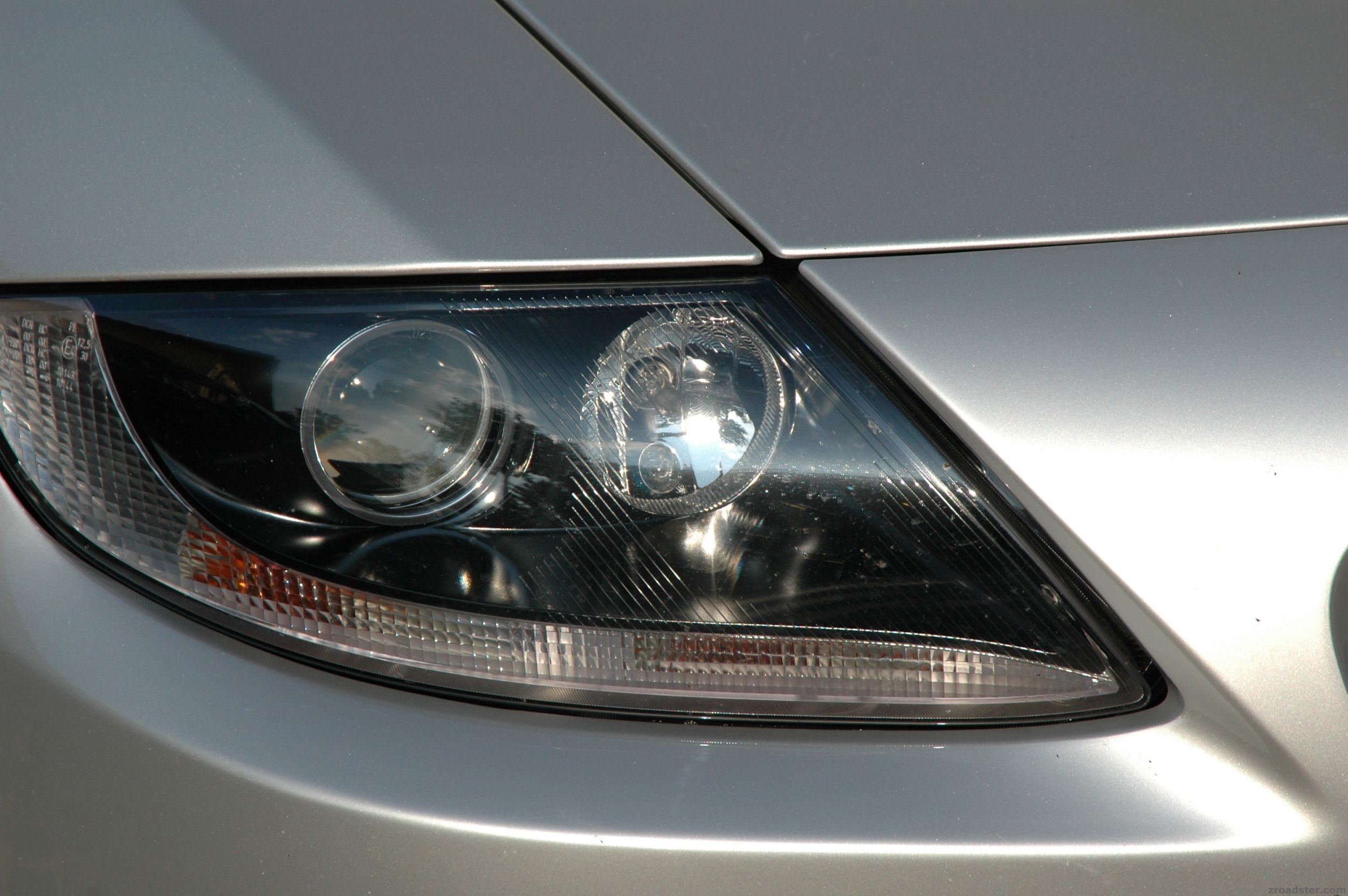 Z4 Shark