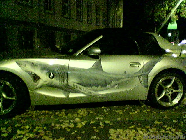 Z4_Shark01