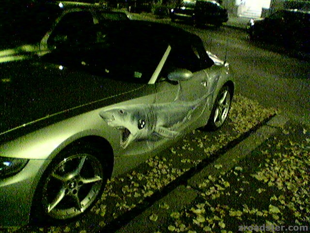 Z4_Shark02