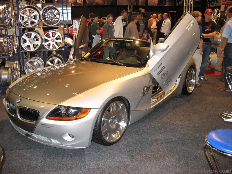 Z4_Wings