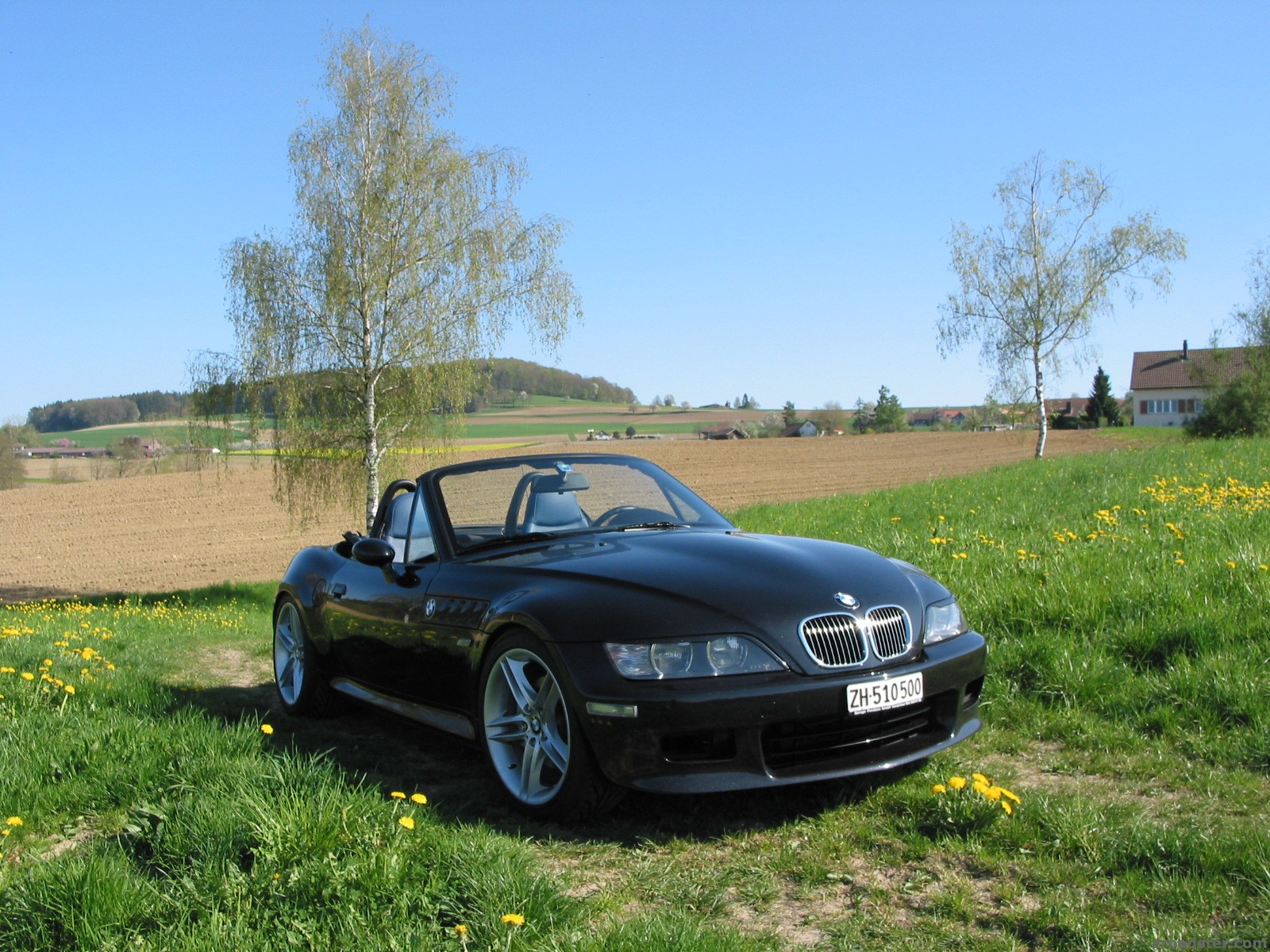 Z4M Style 224 Felgen