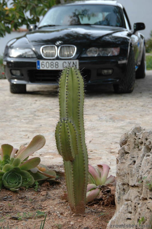 Z8 auf Mallorca