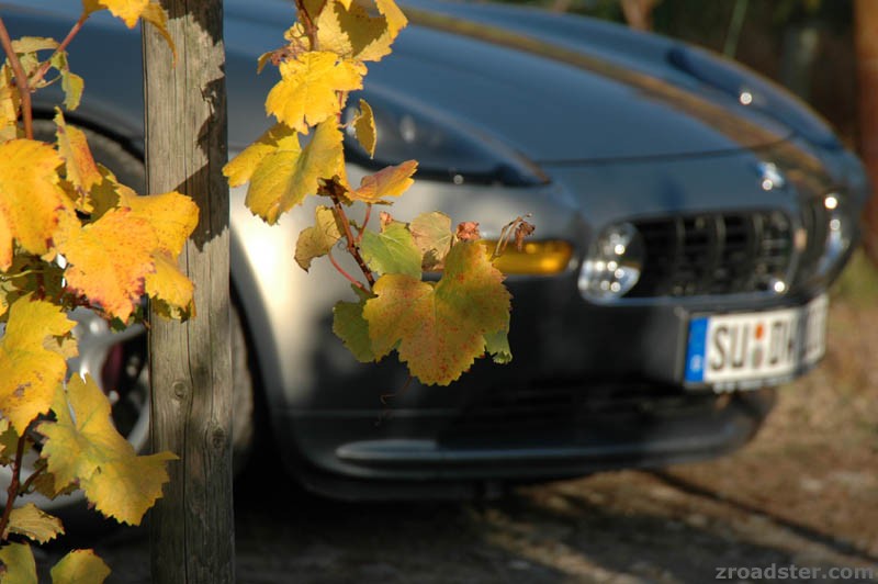 Z8 & Wein