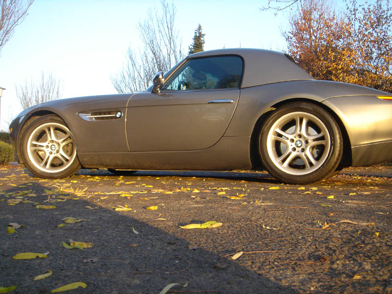 Z8 Wintersonne