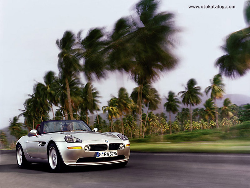 z8