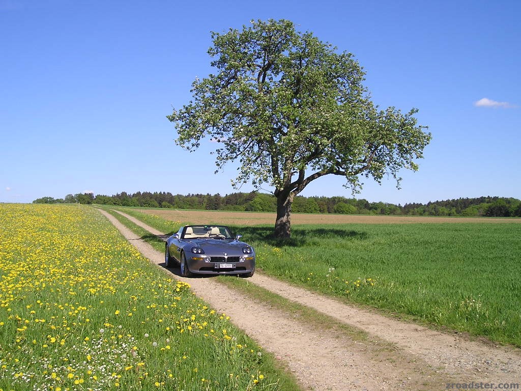 Z8_Fr_hling