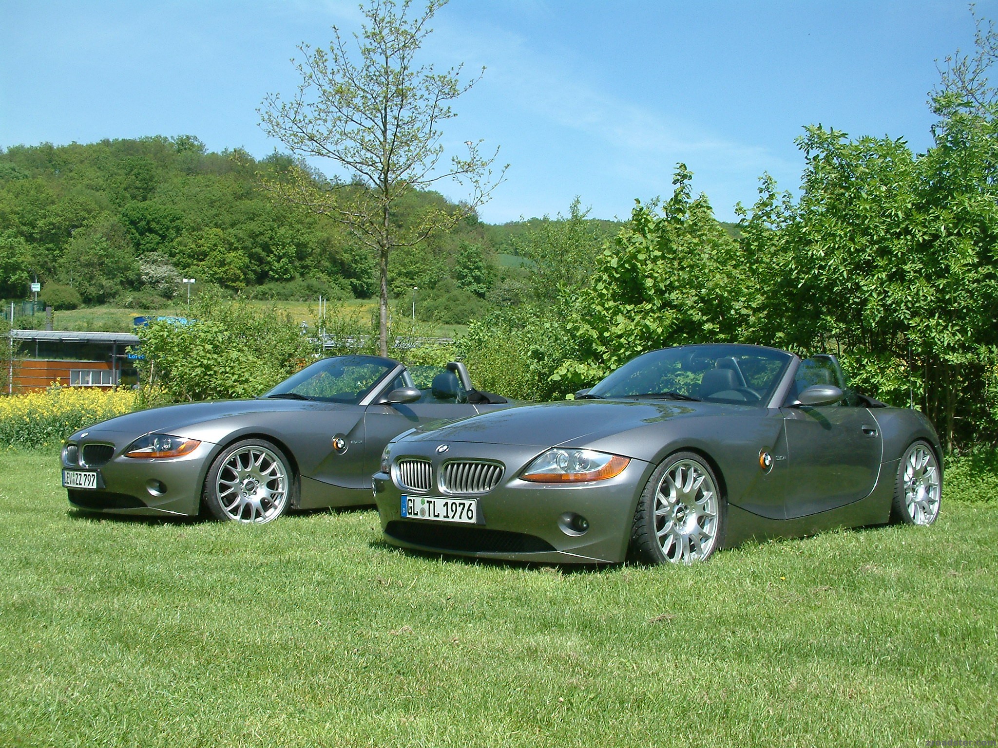 Zarte Stimme der Loreley? Powered by Bastuck