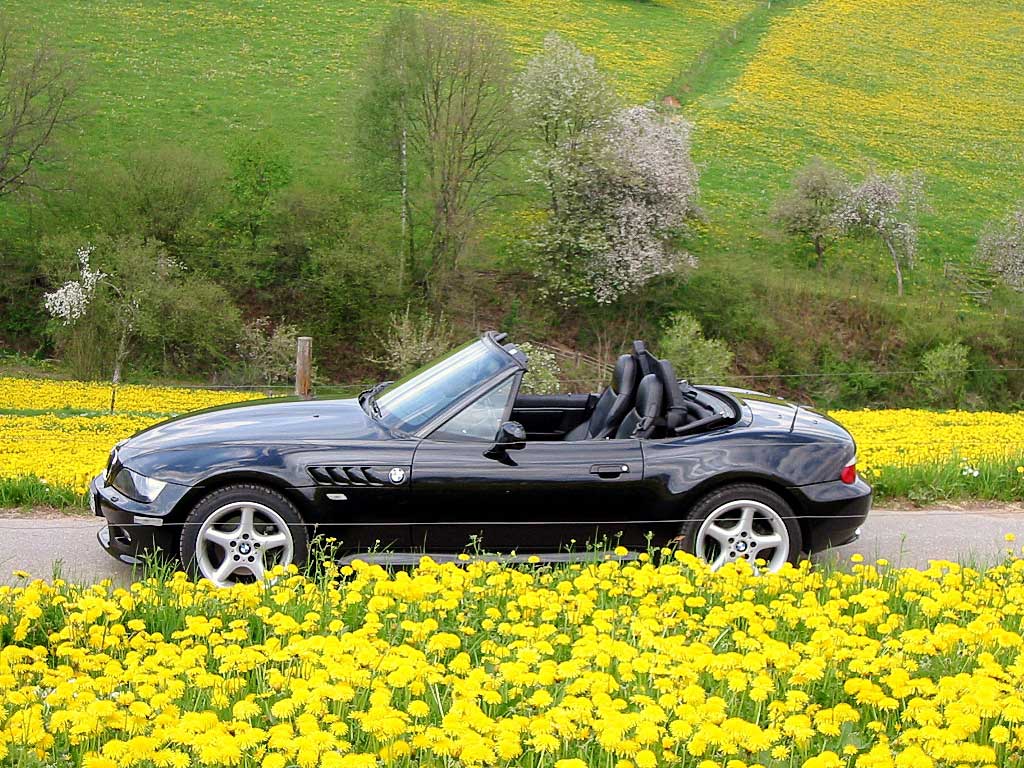zetti im frühjahr ;-)
