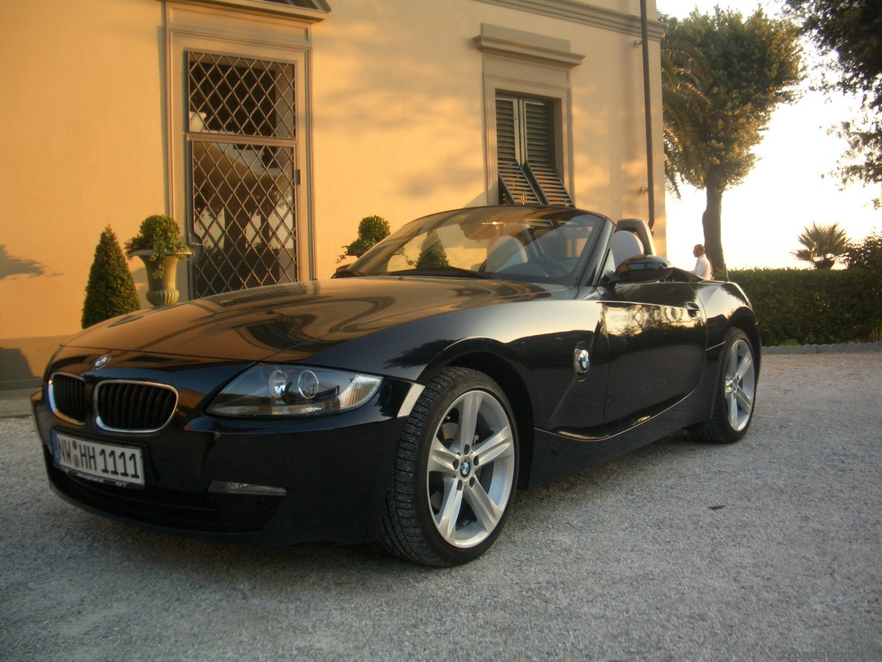 Zetti in Italy