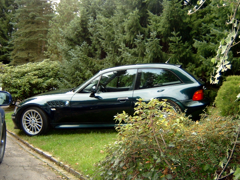 Zetti004