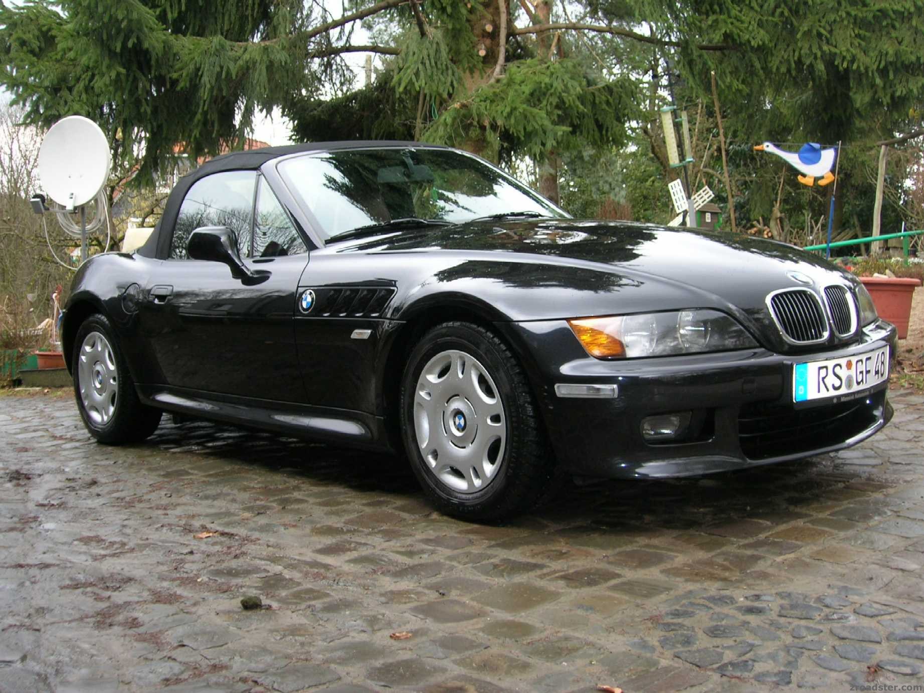 Zetti_11