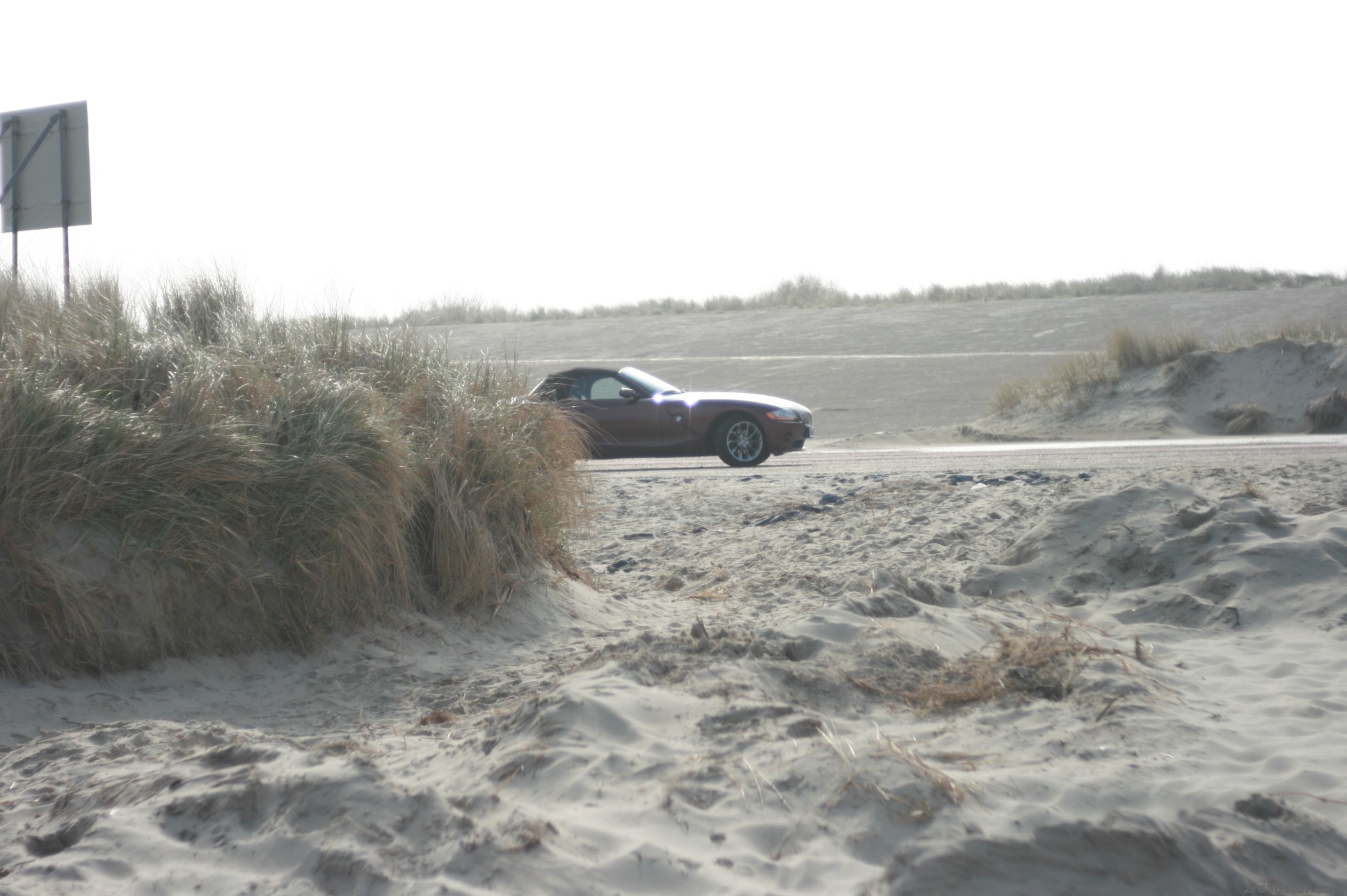 Zex On The Beach