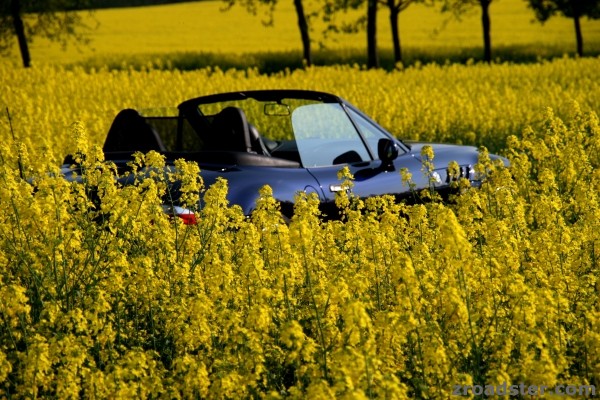 zroadster_com_fotocontest_099