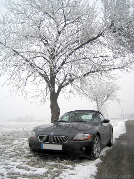 zroadster_com_fotocontest_273