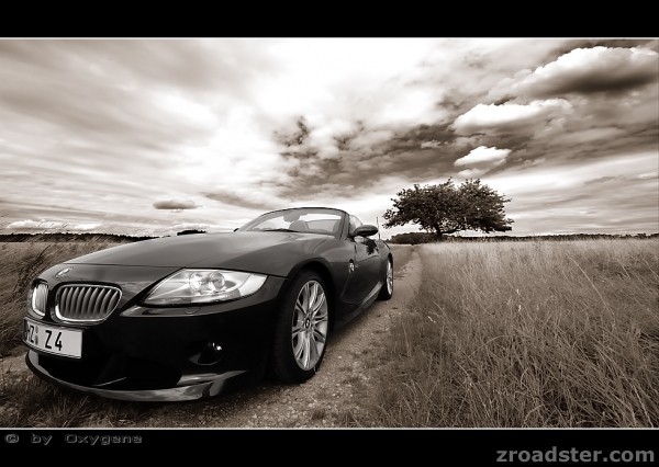 zroadster_com_fotocontest_276