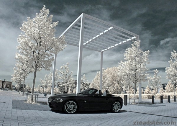zroadster_com_fotocontest_291