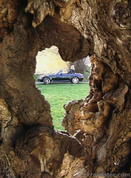 zroadster_com_fotocontest_332