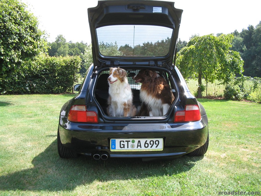 ZZZ Coupe -absolutely dog friendly-