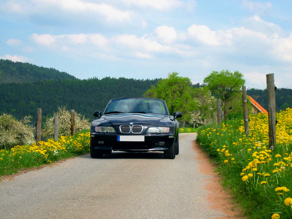 zzz im frühling ;-)