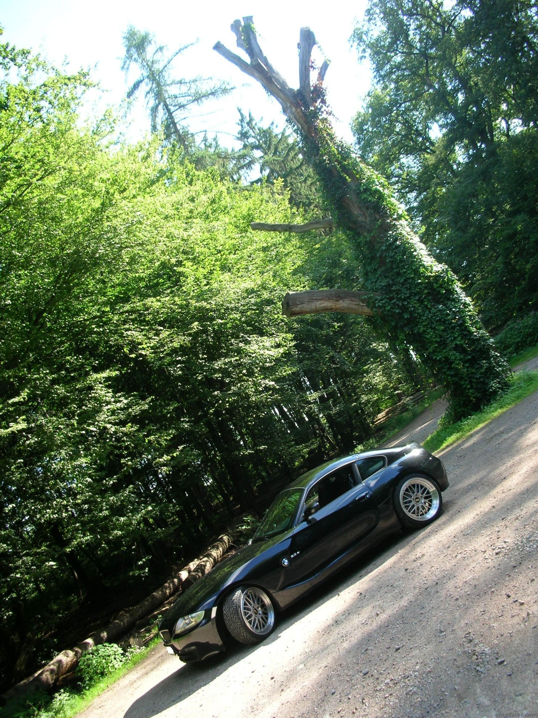 ZZZZ Coupe
