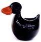 Black_Duck.jpg