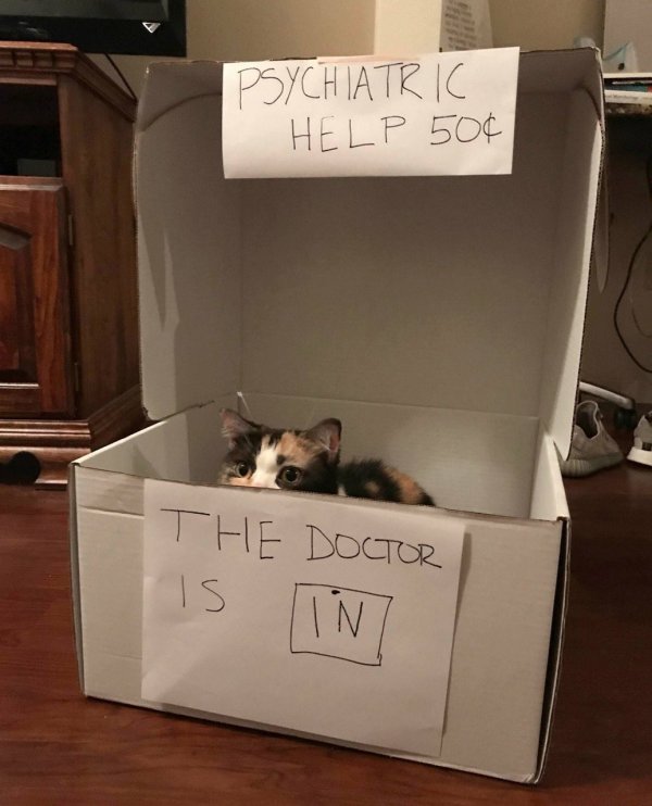 post2.jpg