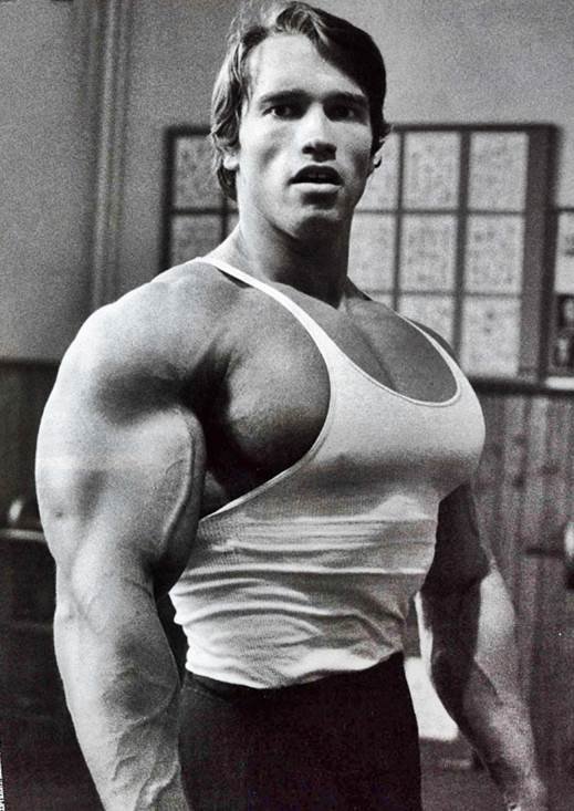 1453659654-arnold-schwarzenegger.jpg