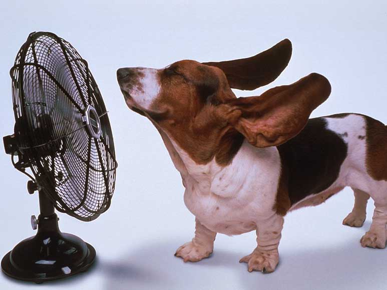 Ventilator.jpg