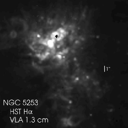N5253_grey_rev.jpg