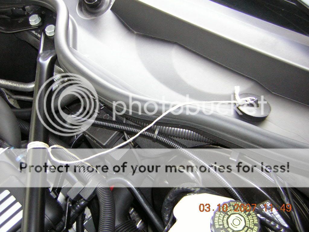 DSCN3407.jpg
