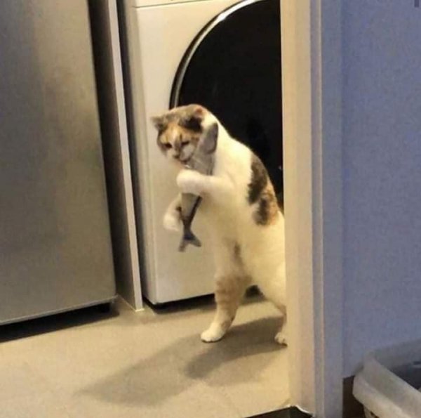 post2.jpg