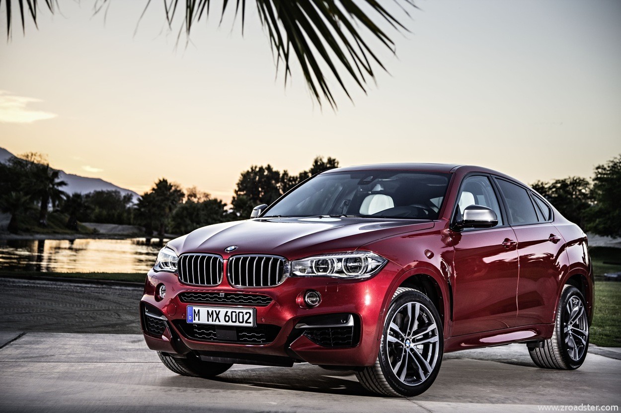 BMW_X6_2014_29.jpg