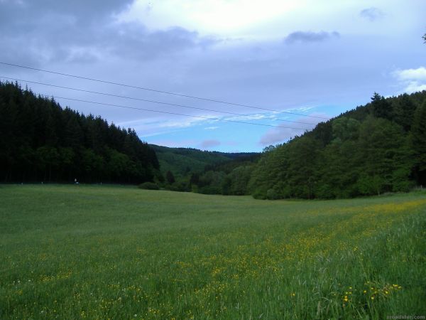 dscf0300.jpg