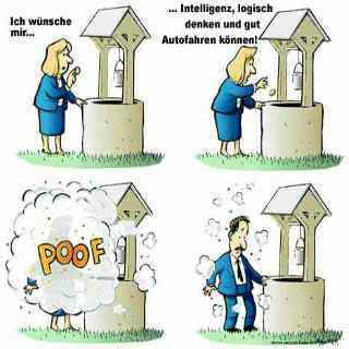 WITZE.1.jpg