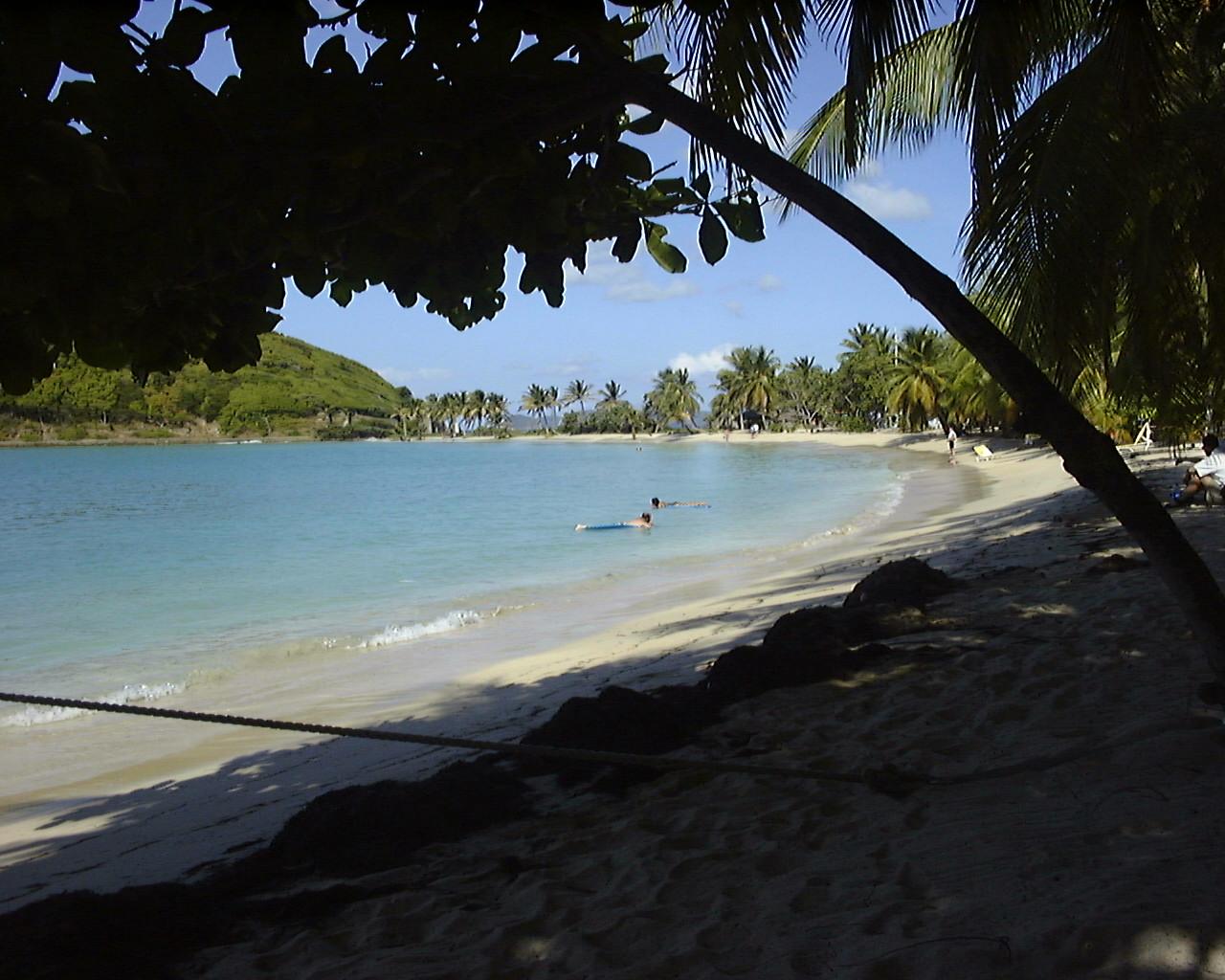 tobago.JPG
