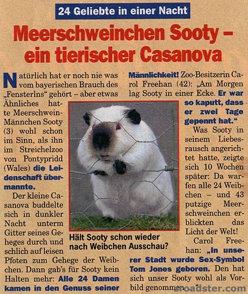 bild119_1_.jpg
