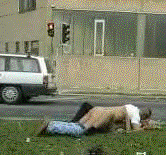 fuehrerschein10.gif