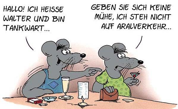 gstein35.jpg