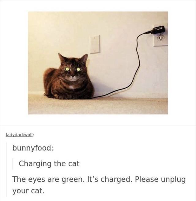 picdump-18-06-22-031.jpg
