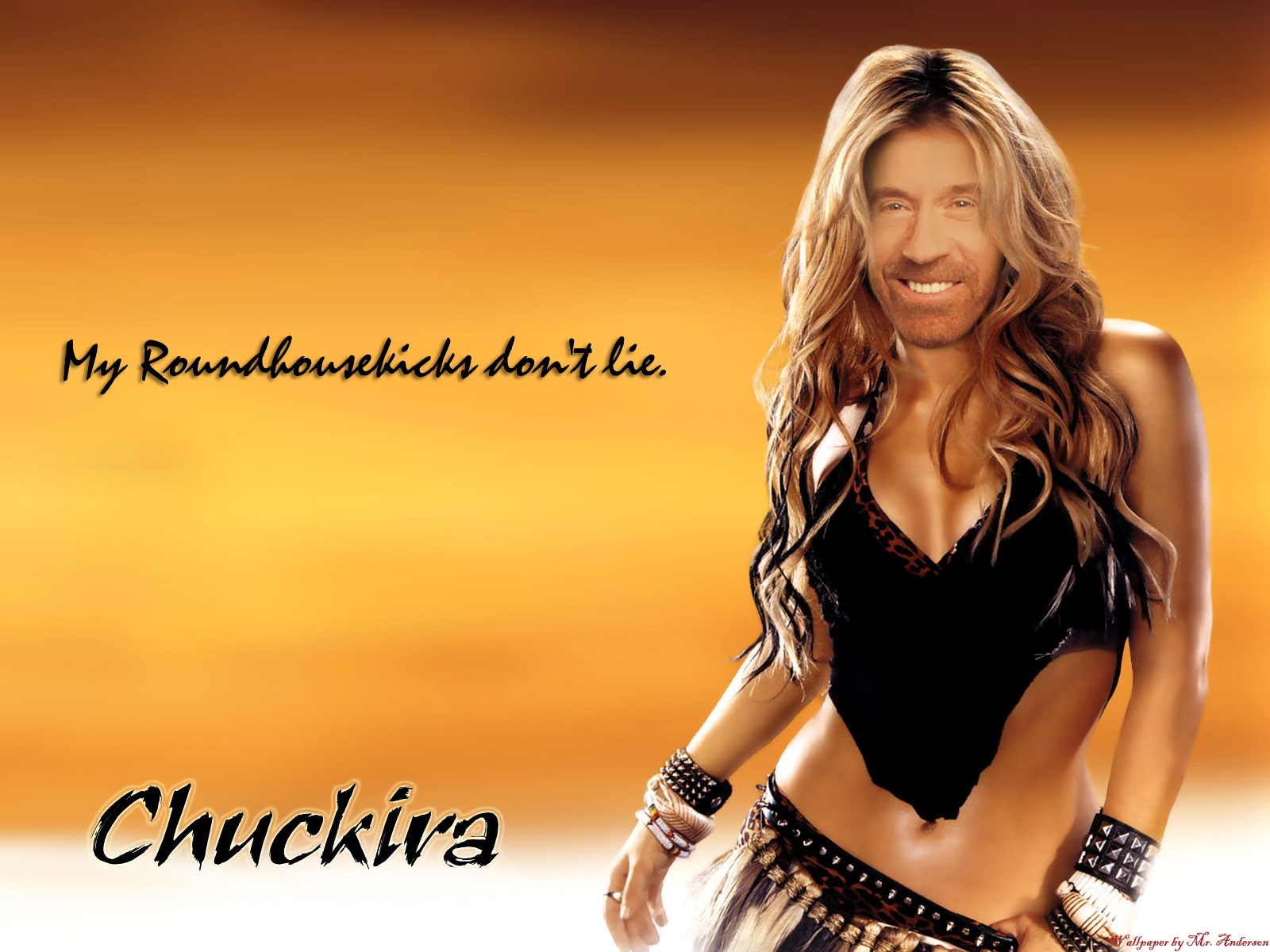 Chuckira_by_MrAnders0n.jpg