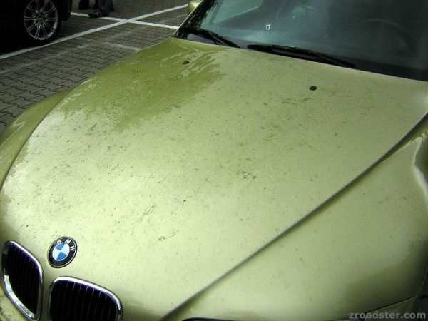 DSCN3244.JPG